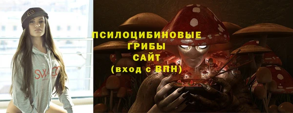 стаф Алексеевка