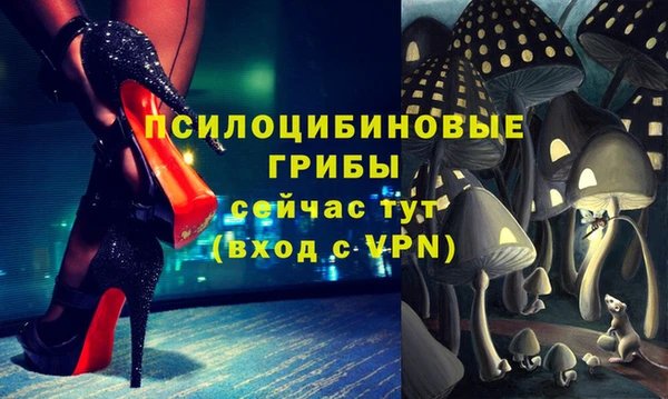 mdpv Алексин