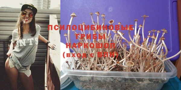 стаф Алексеевка