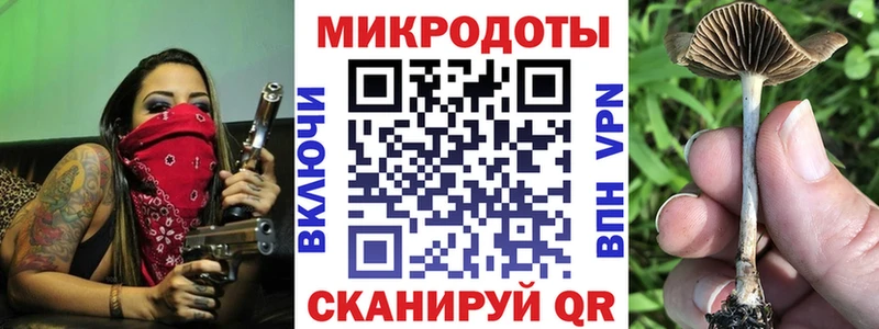 блэк спрут зеркало  Пенза  Псилоцибиновые грибы Cubensis 